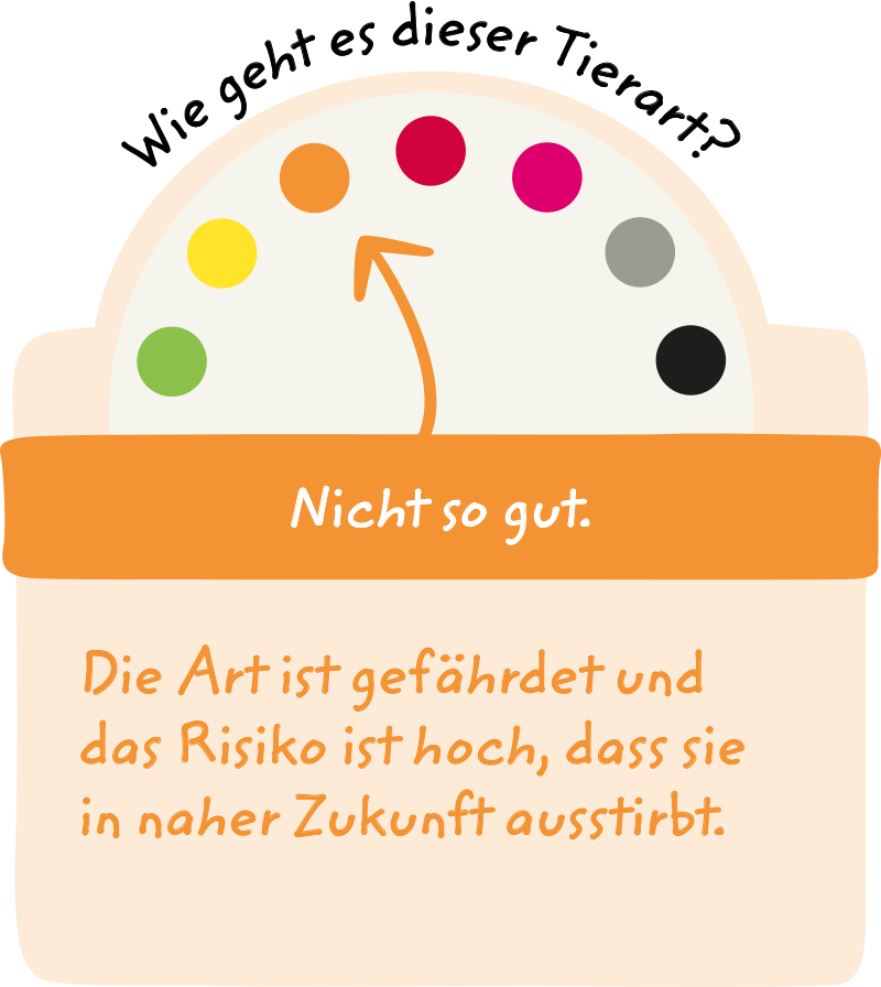 Welche Tiere Und Pflanzen Sind Bedroht Die Rote Liste Sagt S Wwf Junior