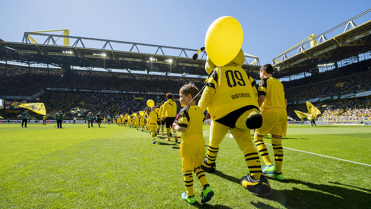Biene Emma brummt für Dortmund - WWF Junior