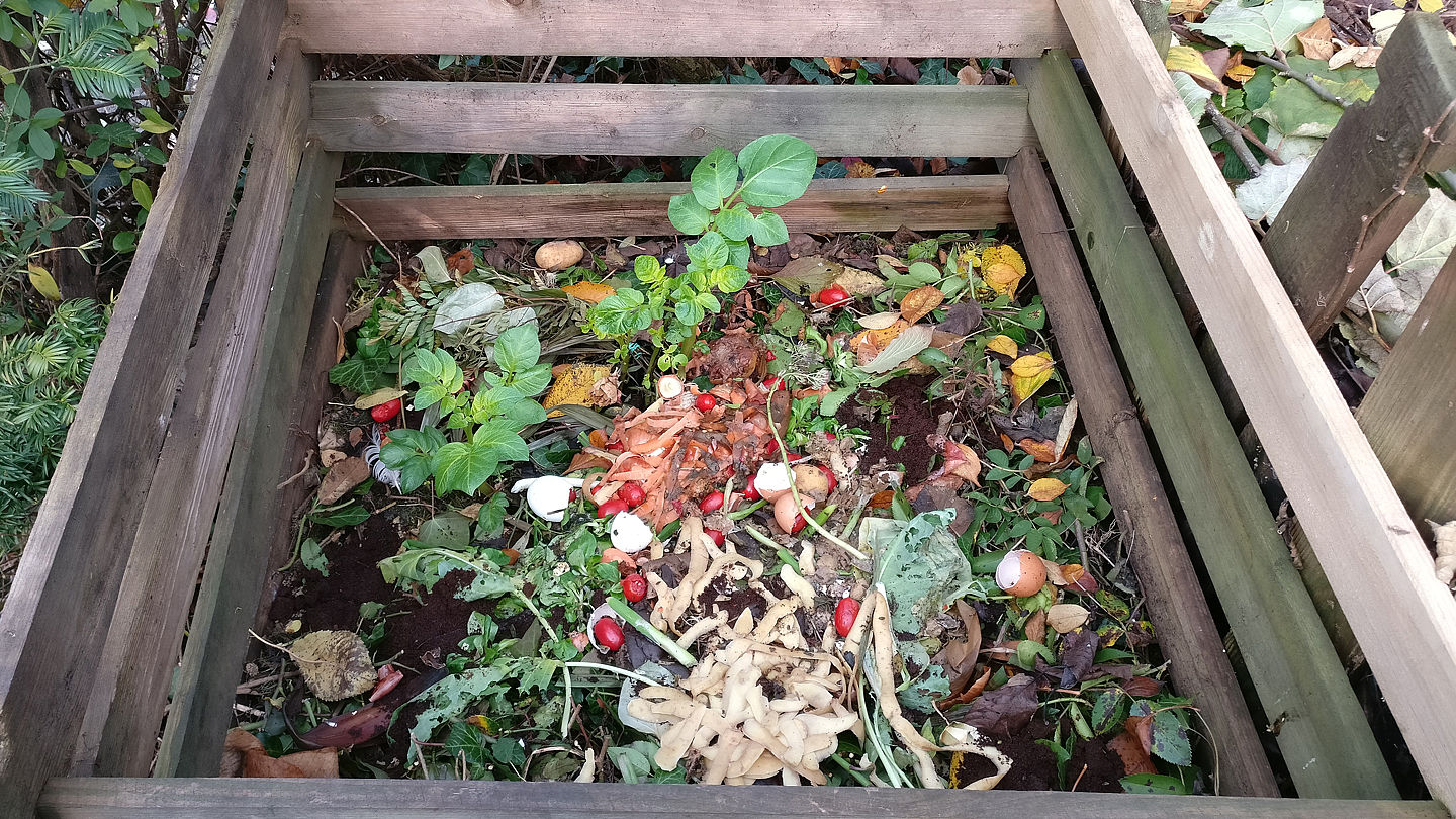 Kompost Kannst Du Selber Machen Wwf Junior