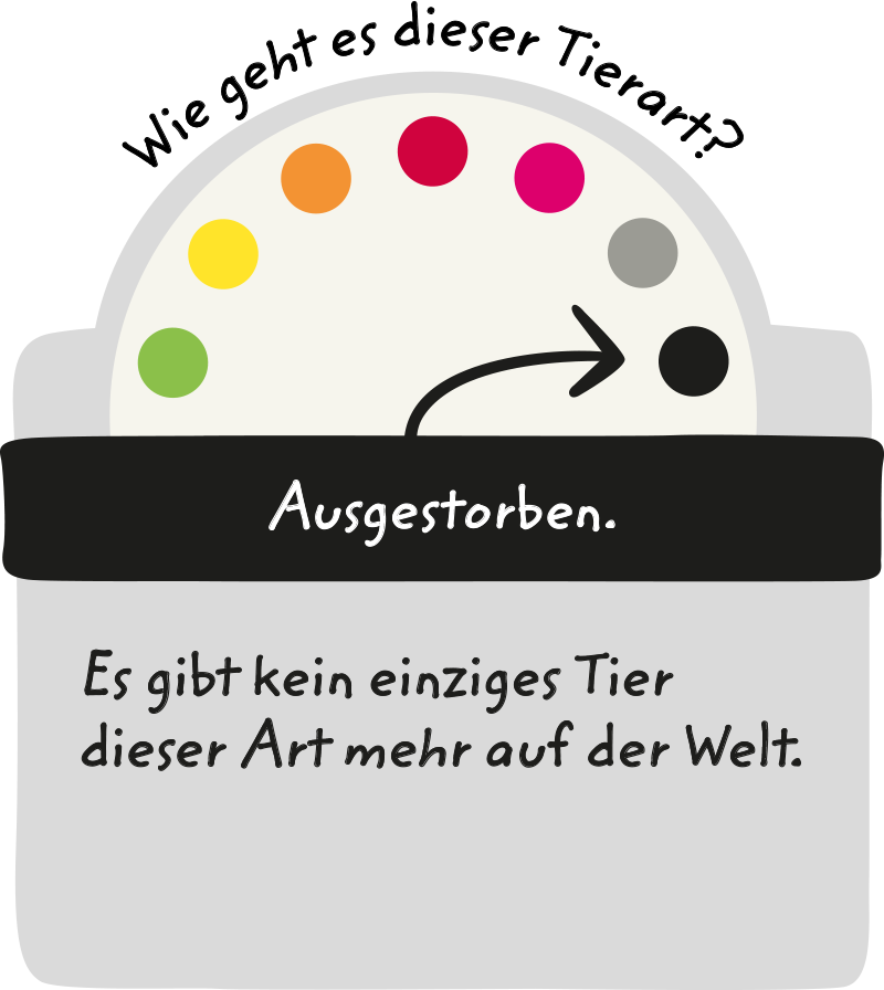 Welche Tiere Und Pflanzen Sind Bedroht Die Rote Liste Sagt S Wwf Junior