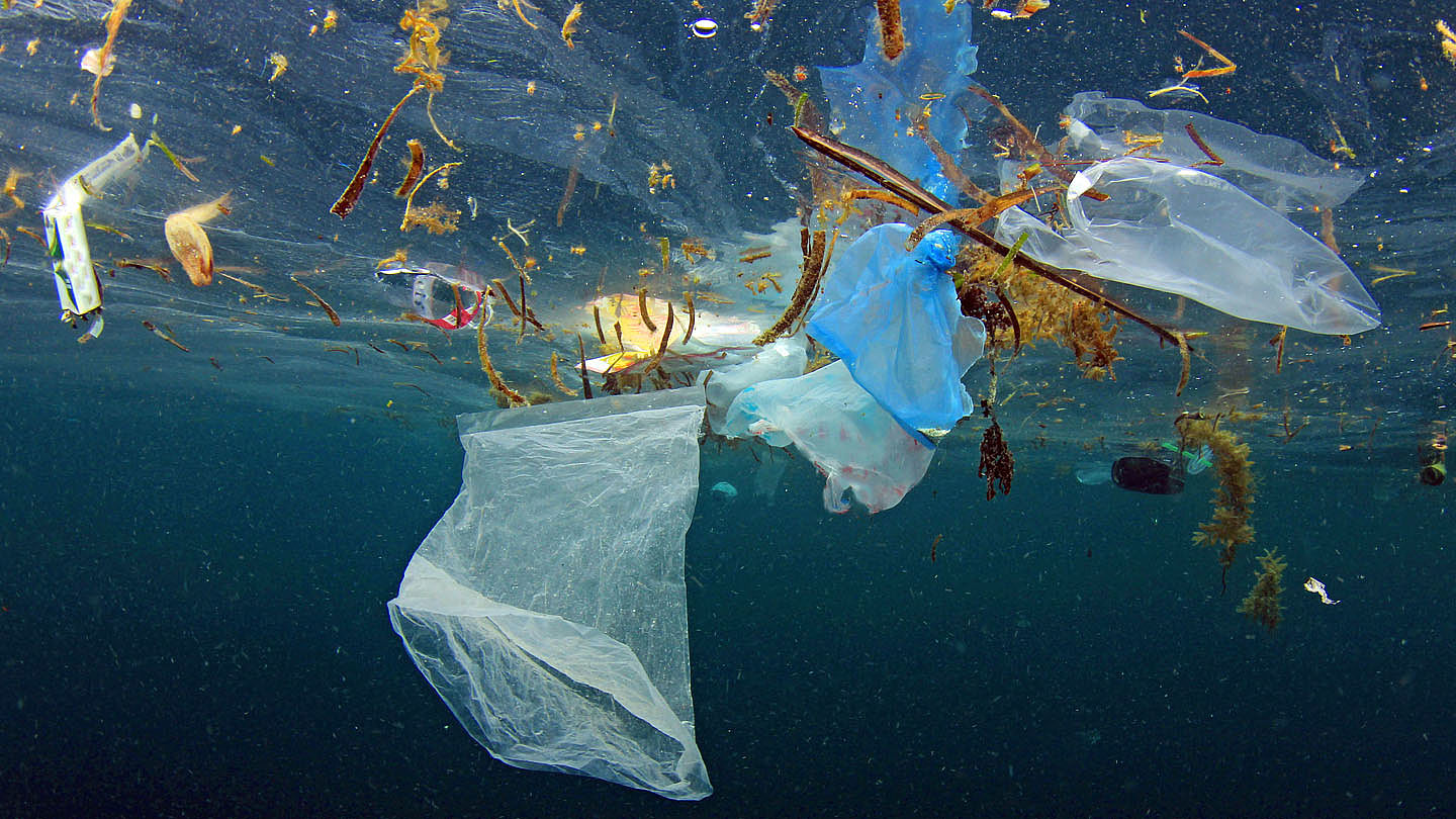 Plastikmüll Im Meer Bilder Mikroplastik Definition Folgen Und Was Du Dagegen Tun Und 